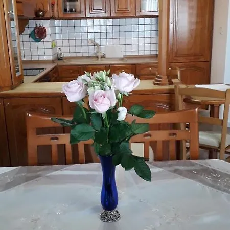 Flower Nina Apartment